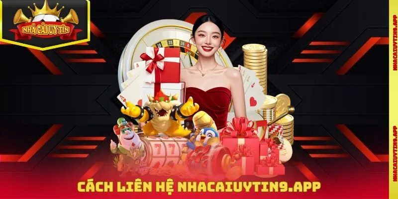 Cách liên hệ mydreamlove.io
